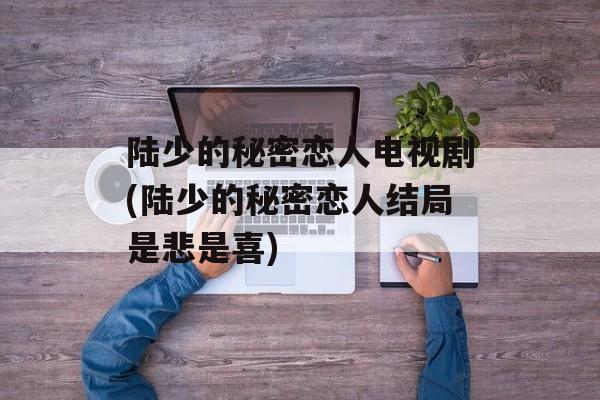 陆少的秘密恋人电视剧(陆少的秘密恋人结局是悲是喜)-第1张图片-