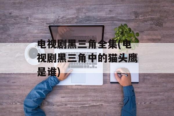 电视剧黑三角全集(电视剧黑三角中的猫头鹰是谁)-第1张图片-