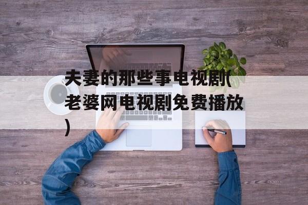 夫妻的那些事电视剧(老婆网电视剧免费播放)-第1张图片-
