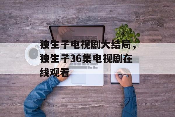 独生子电视剧大结局，独生子36集电视剧在线观看-第1张图片-