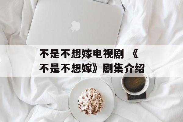 不是不想嫁电视剧 《不是不想嫁》剧集介绍-第1张图片-