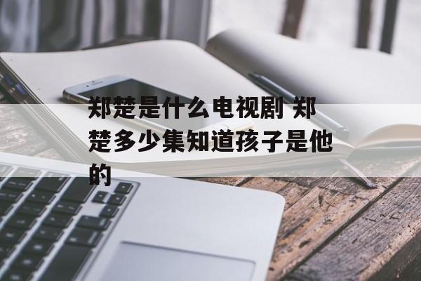 郑楚是什么电视剧 郑楚多少集知道孩子是他的-第1张图片-