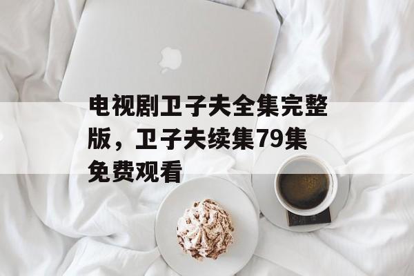 电视剧卫子夫全集完整版，卫子夫续集79集免费观看-第1张图片-