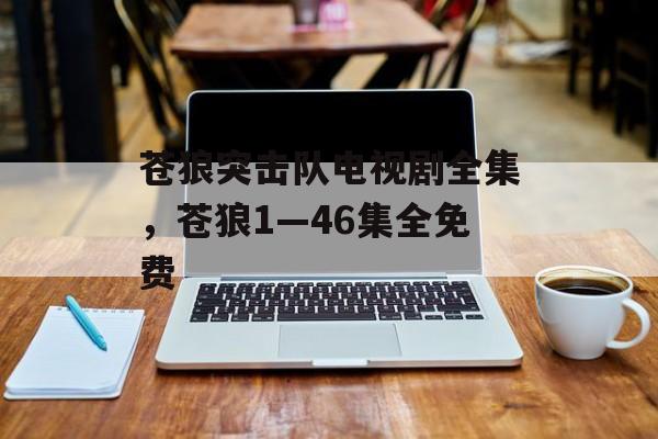苍狼突击队电视剧全集，苍狼1—46集全免费-第1张图片-