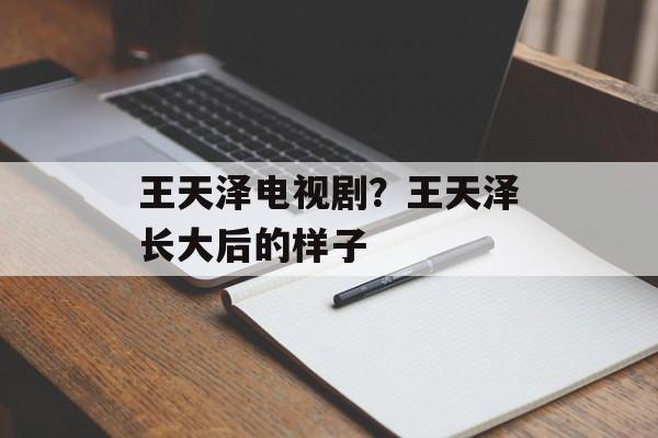 王天泽电视剧？王天泽长大后的样子-第1张图片-