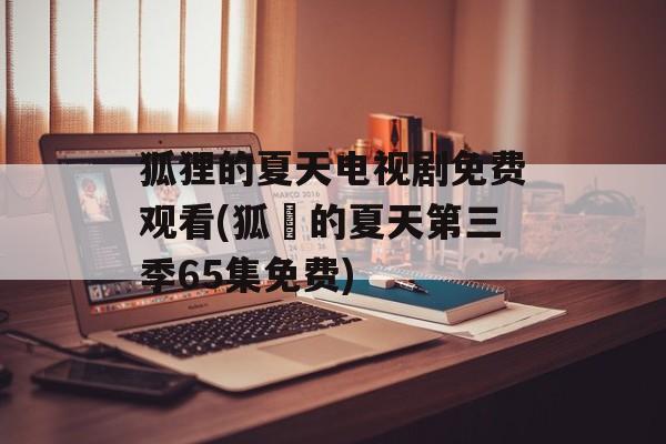 狐狸的夏天电视剧免费观看(狐貍的夏天第三季65集免费)-第1张图片-