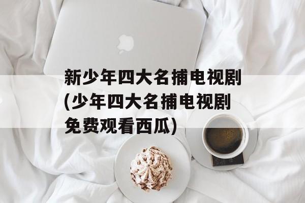 新少年四大名捕电视剧(少年四大名捕电视剧免费观看西瓜)-第1张图片-
