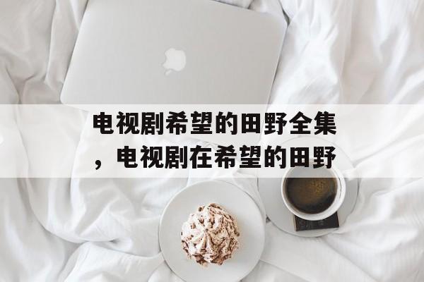 电视剧希望的田野全集，电视剧在希望的田野-第1张图片-