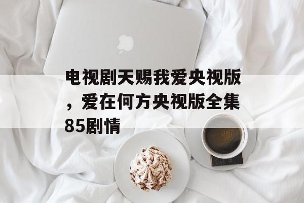 电视剧天赐我爱央视版，爱在何方央视版全集85剧情-第1张图片-