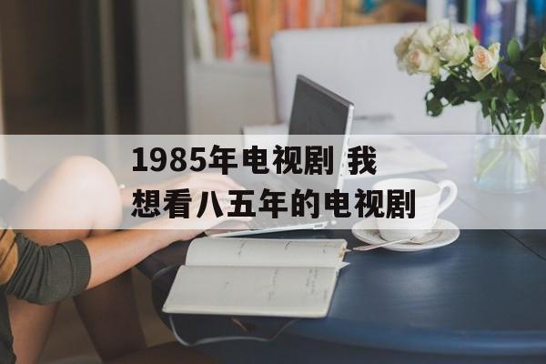 1985年电视剧 我想看八五年的电视剧-第1张图片-