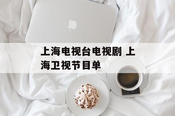 上海电视台电视剧 上海卫视节目单-第1张图片-