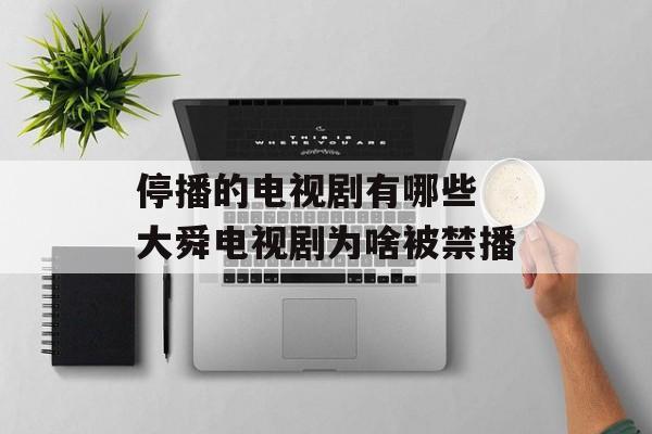 停播的电视剧有哪些 大舜电视剧为啥被禁播-第1张图片-