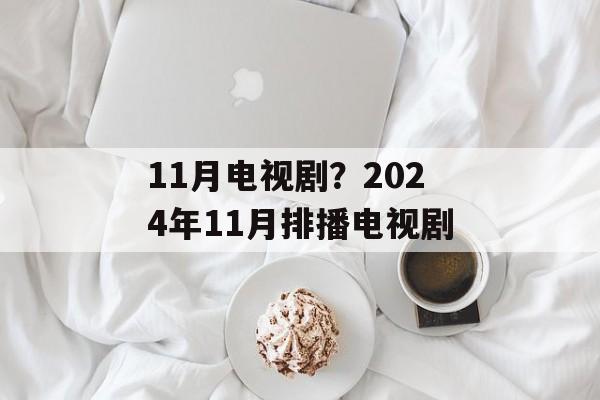 11月电视剧？2024年11月排播电视剧-第1张图片-