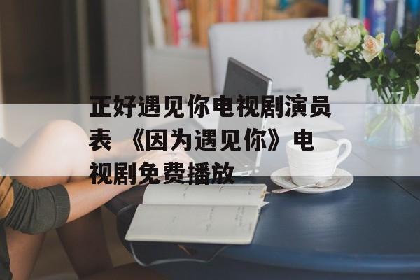 正好遇见你电视剧演员表 《因为遇见你》电视剧免费播放-第1张图片-