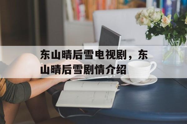 东山晴后雪电视剧，东山晴后雪剧情介绍-第1张图片-