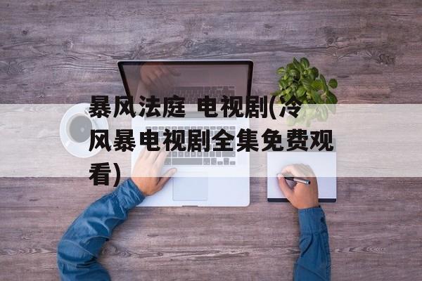 暴风法庭 电视剧(冷风暴电视剧全集免费观看)-第1张图片-