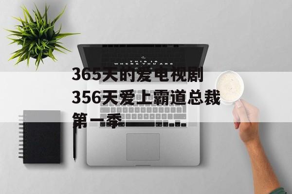 365天的爱电视剧 356天爱上霸道总裁第一季-第1张图片-