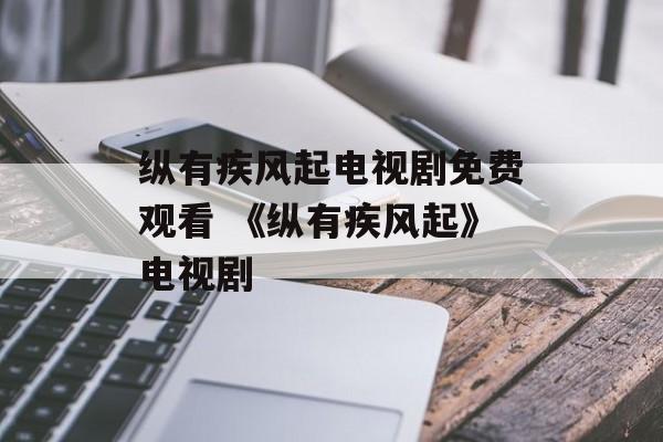 纵有疾风起电视剧免费观看 《纵有疾风起》电视剧-第1张图片-