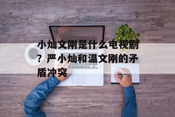 小灿文刚是什么电视剧？严小灿和温文刚的矛盾冲突-第1张图片-