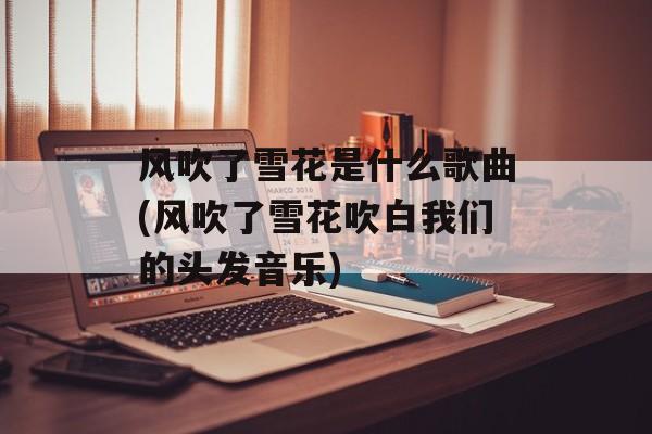 风吹了雪花是什么歌曲(风吹了雪花吹白我们的头发音乐)-第1张图片-