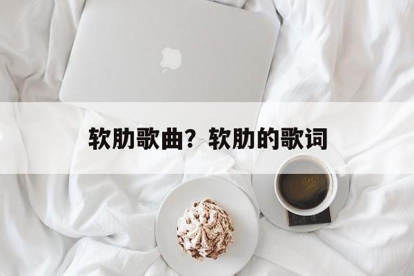 软肋歌曲？软肋的歌词-第1张图片-