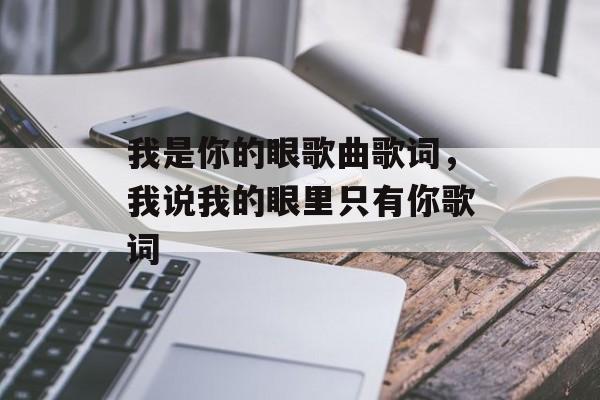 我是你的眼歌曲歌词，我说我的眼里只有你歌词-第1张图片-