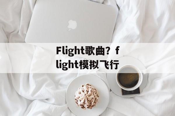 Flight歌曲？flight模拟飞行-第1张图片-