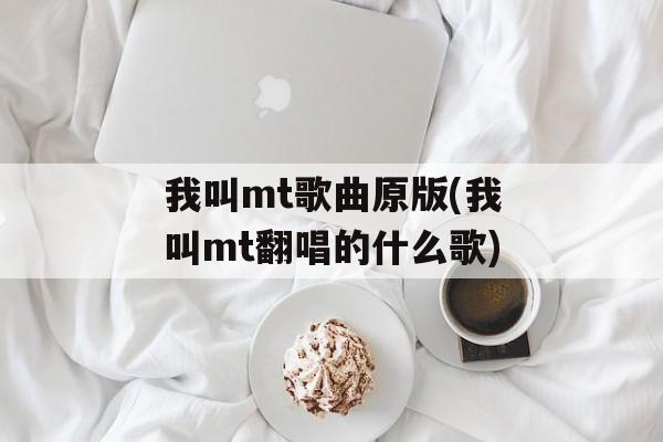 我叫mt歌曲原版(我叫mt翻唱的什么歌)-第1张图片-
