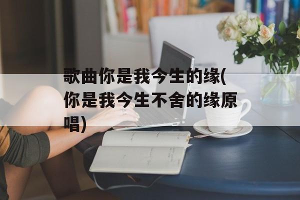 歌曲你是我今生的缘(你是我今生不舍的缘原唱)-第1张图片-