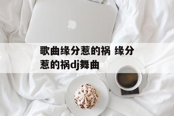 歌曲缘分惹的祸 缘分惹的祸dj舞曲-第1张图片-