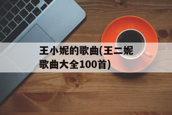 王小妮的歌曲(王二妮歌曲大全100首)-第1张图片-