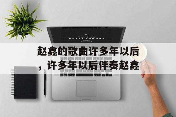 赵鑫的歌曲许多年以后，许多年以后伴奏赵鑫-第1张图片-