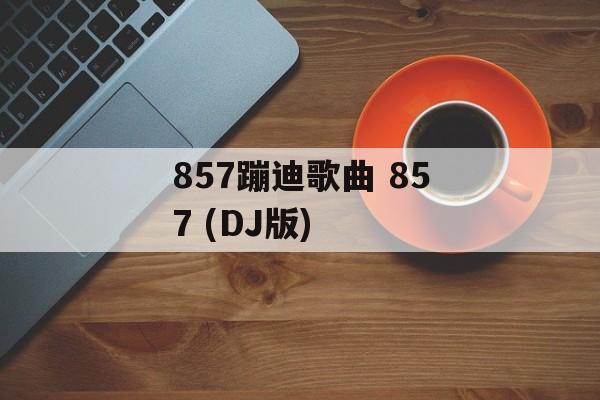 857蹦迪歌曲 857 (DJ版)-第1张图片-