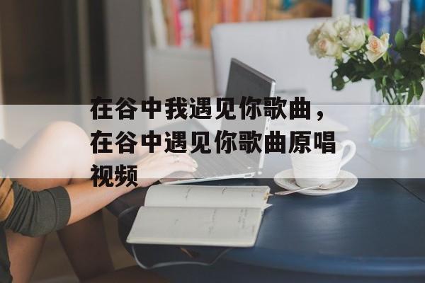 在谷中我遇见你歌曲，在谷中遇见你歌曲原唱视频-第1张图片-