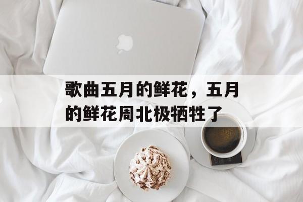 歌曲五月的鲜花，五月的鲜花周北极牺牲了-第1张图片-