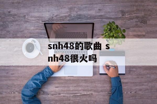snh48的歌曲 snh48很火吗-第1张图片-