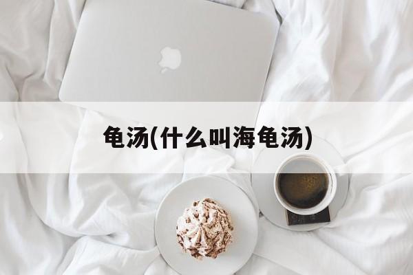 龟汤(什么叫海龟汤)-第1张图片-