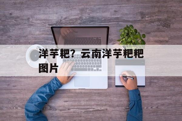 洋芋耙？云南洋芋粑粑图片-第1张图片-