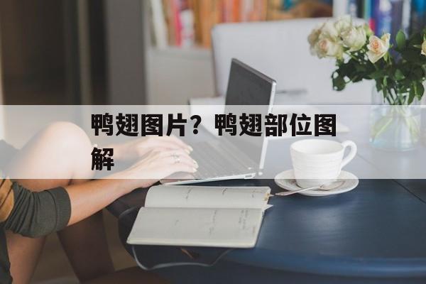 鸭翅图片？鸭翅部位图解-第1张图片-