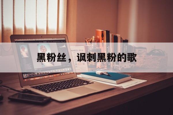 黑粉丝，讽刺黑粉的歌-第1张图片-