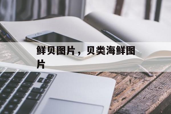 鲜贝图片，贝类海鲜图片-第1张图片-