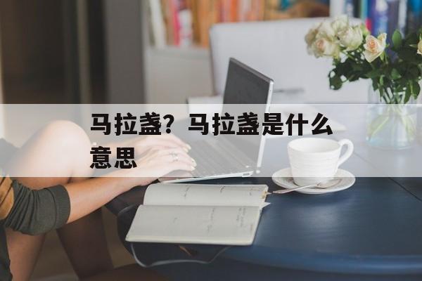 马拉盏？马拉盏是什么意思-第1张图片-