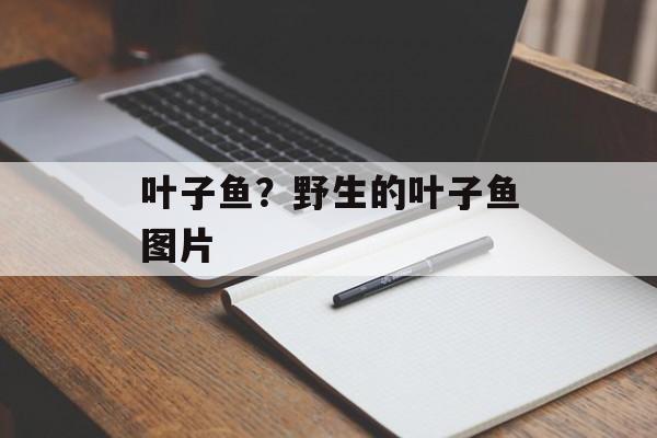 叶子鱼？野生的叶子鱼图片-第1张图片-