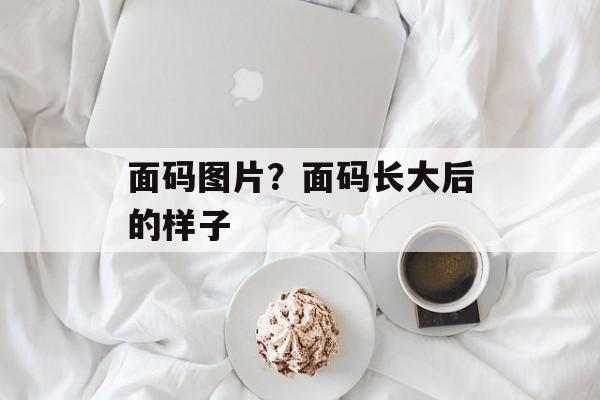 面码图片？面码长大后的样子-第1张图片-