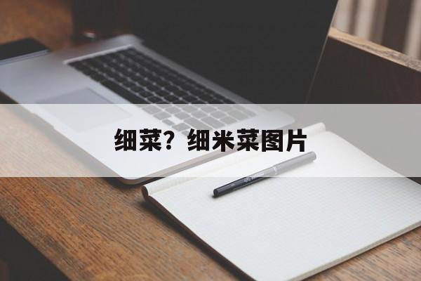 细菜？细米菜图片-第1张图片-