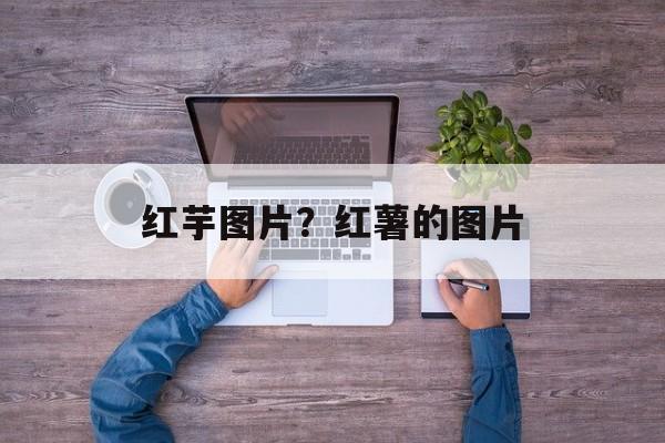 红芋图片？红薯的图片-第1张图片-