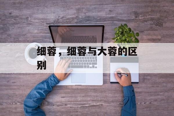 细蓉，细蓉与大蓉的区别-第1张图片-