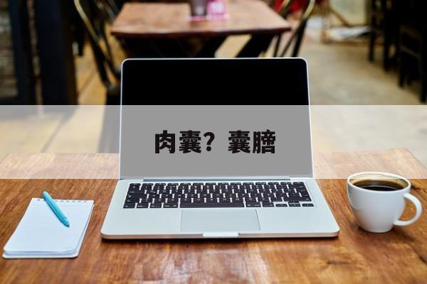 肉囊？囊膪-第1张图片-