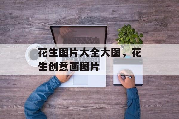 花生图片大全大图，花生创意画图片-第1张图片-