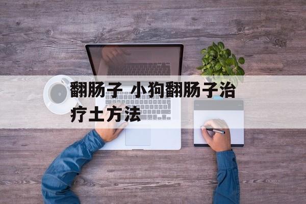 翻肠子 小狗翻肠子治疗土方法-第1张图片-